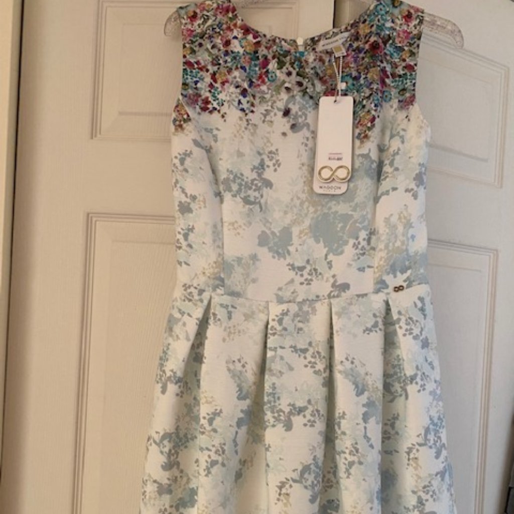 Brand New Waggon Paris Dress